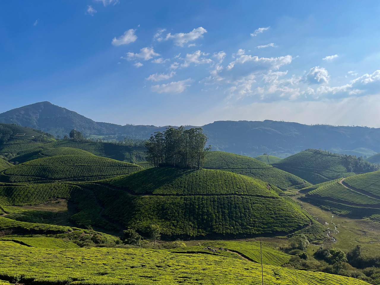 Munnar